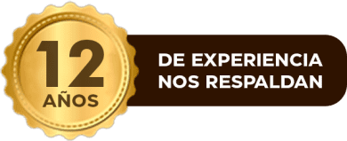 12 años de experiencia